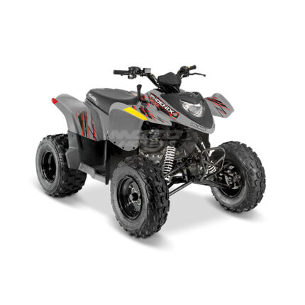 Polaris Phoenix 200